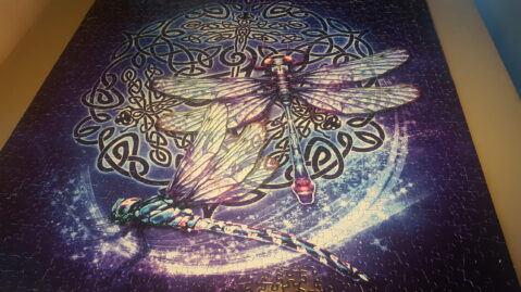 puzzlesdragonfly