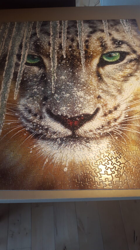 puzzlestiger